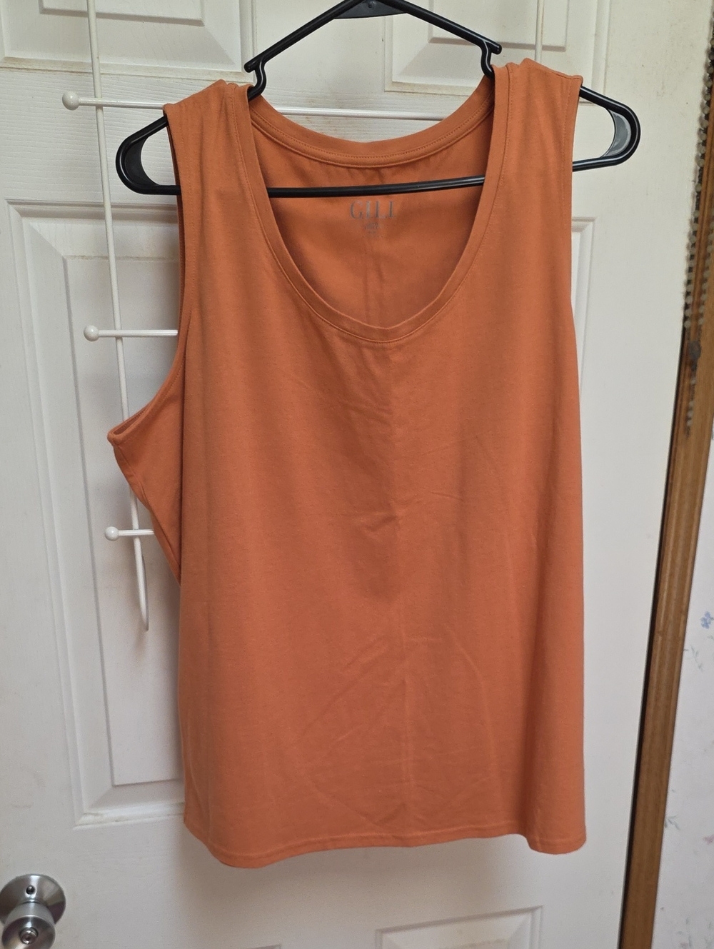 G.I.L.I. Scoop Neck Tank Top in Rust